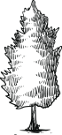 home_arbre_png