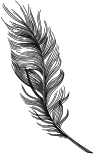 home_plume_png