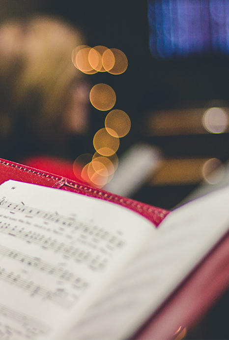 david-beale-gOsGgt4olNs-unsplash